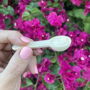 A smooth, natural wooden scoop — the perfect tool for measuring your ½ teaspoon of Pearl Powder or other superfood. Wooden utensils help preserve the energetic purity of this frequency-based medicine, offering a grounded and intentional way to prepare your daily dose.